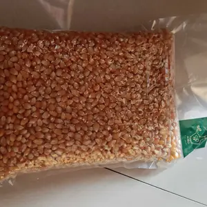 Jagung Popcorn/Jagung Brondong Packing Vacuum/ Kualitas Import USA