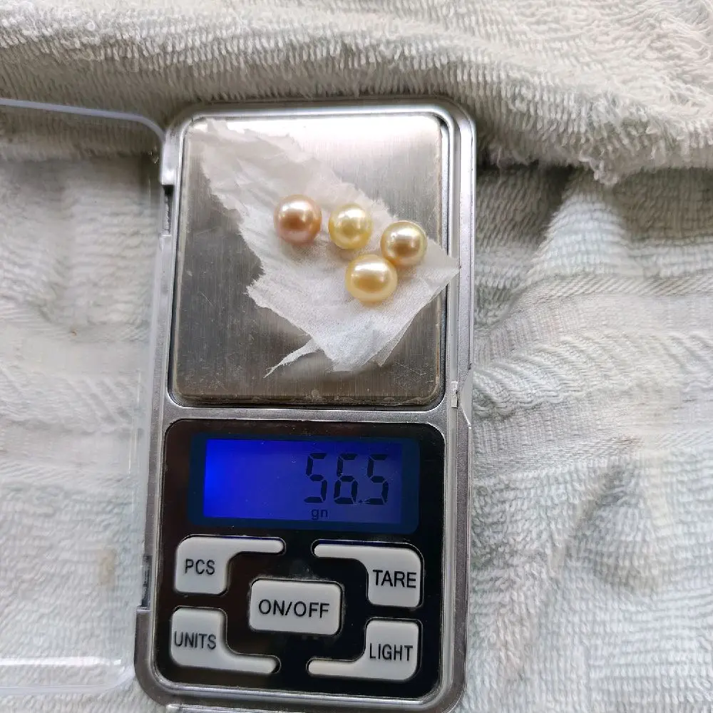 Mutiara Air Laut Warna Soft Gold, Berasal dari Pulau kecil nan indah Lombok NTB