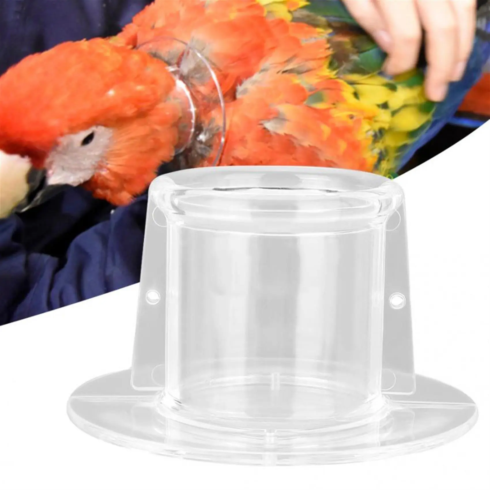 Bird Anti-bite Collar for Severe Parrot Feather Plucking Neckband Restricts Neck Movement for Macaw Cockatoo [Healing Moment]