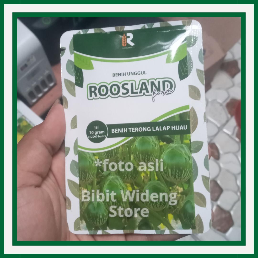 ( 10 Gram ) Benih Terong Lalap Hijau | Terong Gelatik | Bibit Terong Hijau Bulat