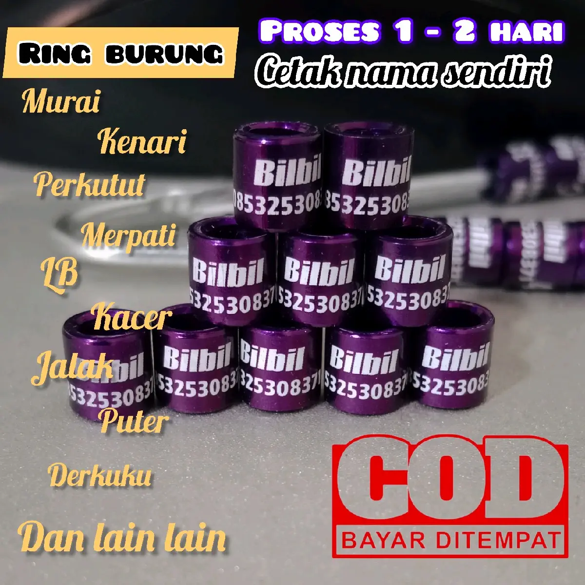 ring burung murai, cendet, kenari, perkutut, derkuku, merpati, kenari, dll