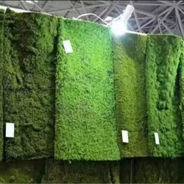 READY STOCK Artificial moss carpet moss grass fake moss gras - TikTok ...