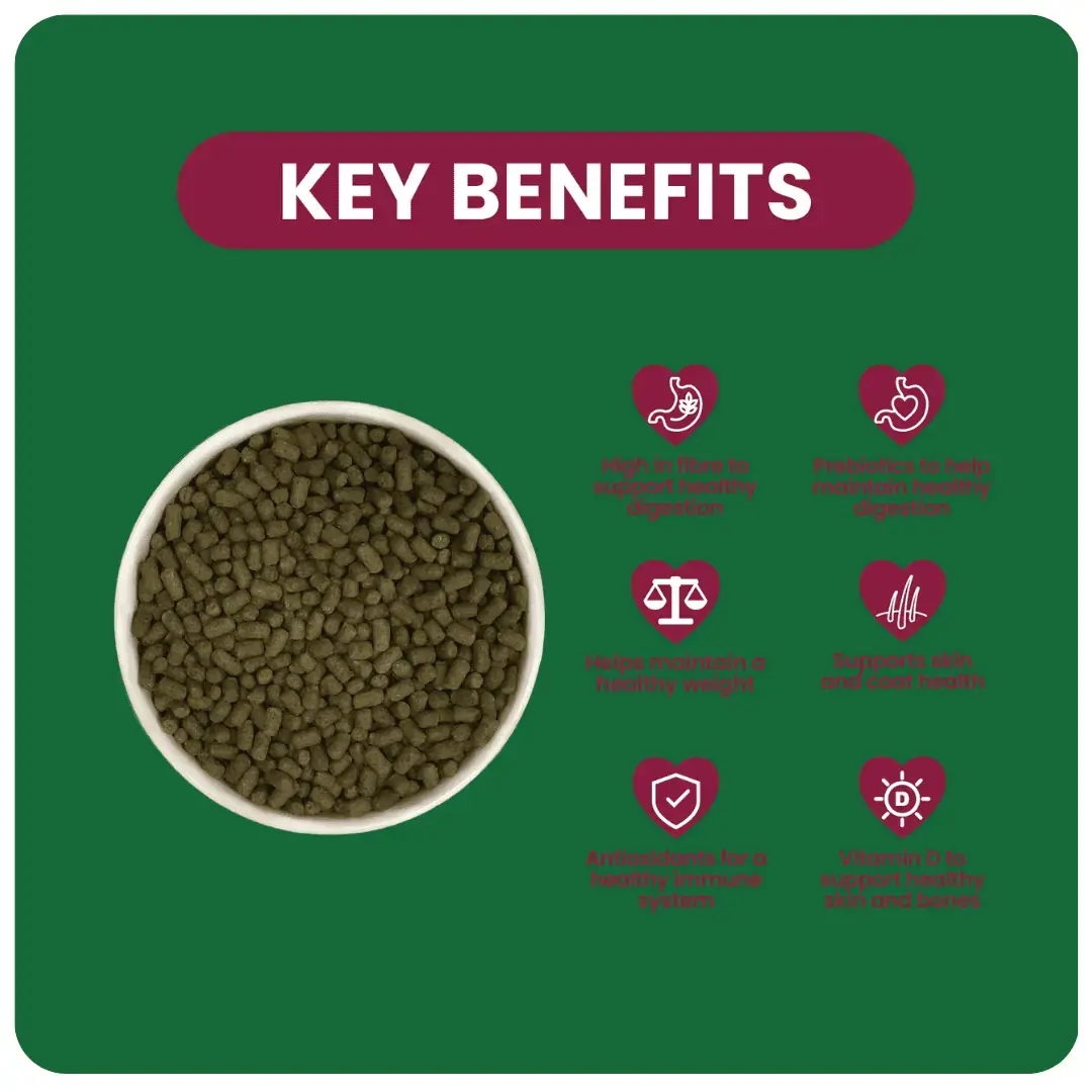 Product detail media - 2