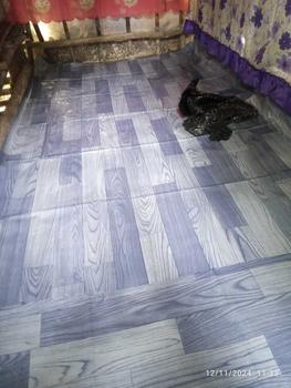 Product Review of Linoleum Rubberized Renoleum Rinoleum Floor Mat Floor- Sold per Yard (3ft x 6ft) from L**e 2
