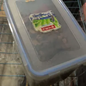 SMART HEART MAKANAN ANJING REPACK 1KG