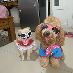 Pet Glasses Foldable Small Medium Large Dog UV Protection Sunglasses Dog Cat Accessories