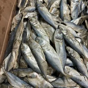 PROMO IKAN ASIN PESA MINI / kecil