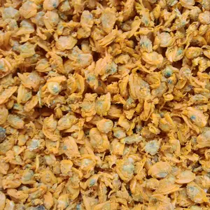 Kepah Asin Kering Goreng - Makanan Ringan - Food- masakan