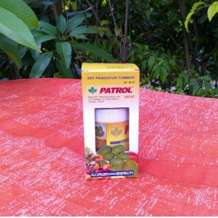 Obat - Obatan perangsang buah Patrol
