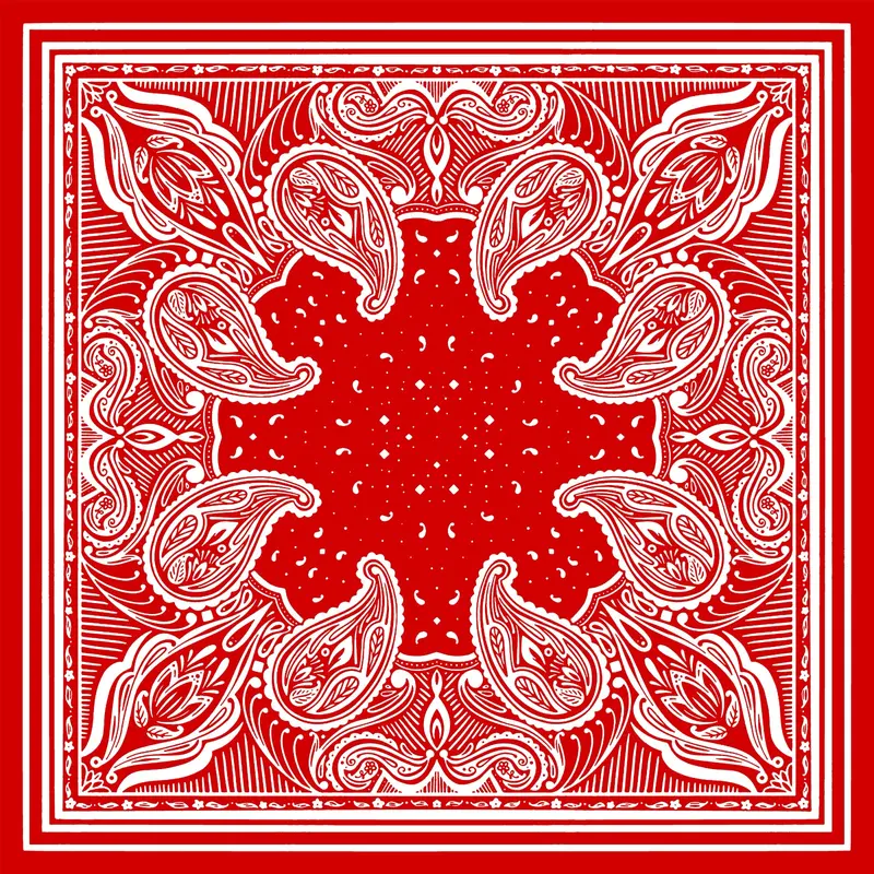 LP Bandana Dikta Sapu Tangan Multifungsi Motif Paisley Merah skena accessories 2