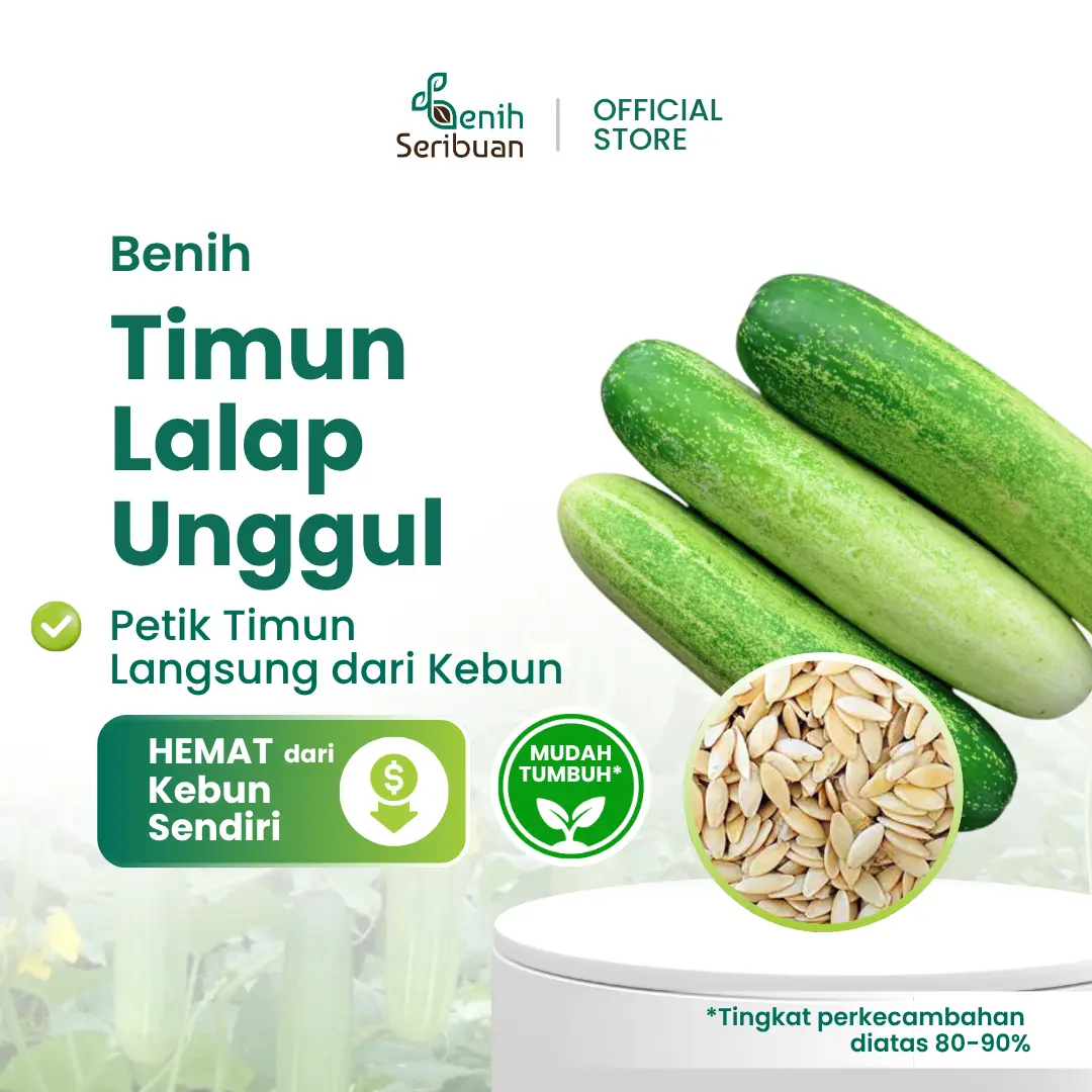 18 Benih Timun Lalap Hijau Vanesa F1 Cap Panah Merah Unggul Berkualitas Bibit Sayur Sayuran Seribuan