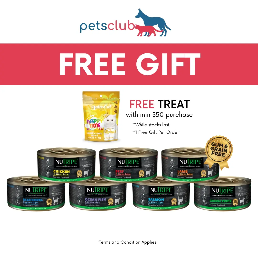 Nutripe Pure with Green Tripe Cat Gum Free Wet Food, 95g, 7 Flavors Available