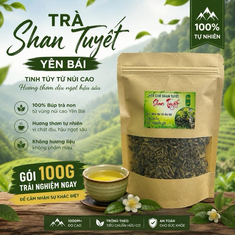 [100G]-Trà Shan Tuyết Yên Bái 100g - Tinh Túy Từ Núi Cao - Hương Thơm Dịu Ngọt Hậu Sâu - 100% Tự Nhiên - Không Hương Liệu - Không Phẩm Màu