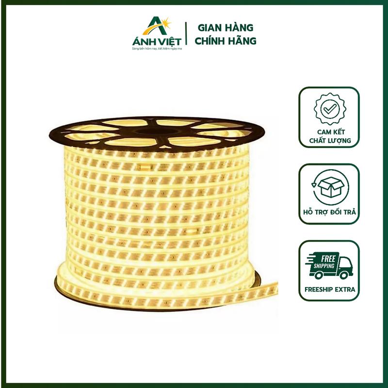 COMBO Dây LED trang trí ngoài trời Ánh Việt -AV30