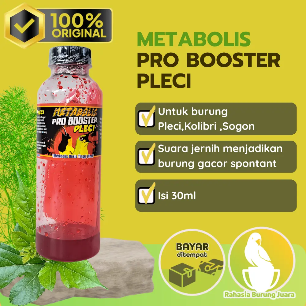 Metabolis Pro Booster Pleci 30ml Vitamin Premium Dosis Tinggi Burung Sogon Pleci Kolibri Original