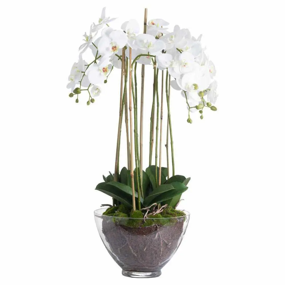 RIEKE ANGGREK BULAN DEWASA ARTIFICIAL PLANT 2PCS - KUALITAS BAGUS DAN JUMBO