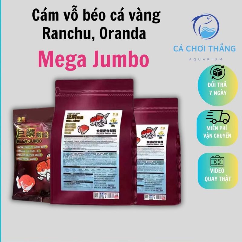 Cám vỗ béo cá vàng Ranchu Oranda Mega Jumbo Hạt chìm - Thức ăn đầy đủ hàm lượng dinh dưỡng giúp kích size tăng body và kích màu rất tốt cho cá