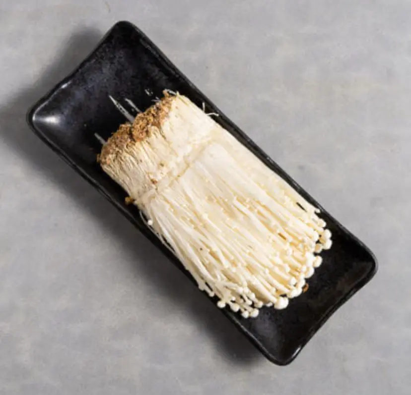 Jamur Enoki Fresh dan Segar Premium Instan Surabaya