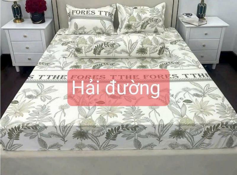 Product Introduction of BỘ 3 MÓN GA VÀ VỎ GỐI LỤA THÁI - CHẤT LIỆU MÁT MẺ, MÀU SẮC TRẺ TRUNG - Ga bo chun đệm được 10p. 23