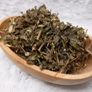 Daun Kumis Kucing rempah Kering Kemasan 20g