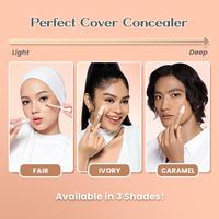 Gambar Hanasui Perfect Cover Concealer 4,5g - 01 Fair dari Kios 0fficial Kota Administrasi Jakarta Barat 4 Tokopedia