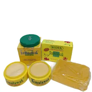 Paket Cream Temulawak Siang Malam Sabun 3In1 Original Pencerah Wajah Hitam