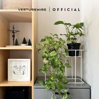 Gambar VERTUREWIRE Rak Pot Tanaman Standing Pot Besi Tebal Finishing Plastik Putih Tahan Karat Kuat Kokoh untuk Dekorasi Rumah Hijau - Kecil dari verturewire Kab. Tangerang 1 Tokopedia