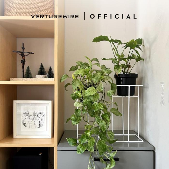 Gambar VERTUREWIRE Rak Pot Tanaman Standing Pot Besi Tebal Finishing Plastik Putih Tahan Karat Kuat Kokoh untuk Dekorasi Rumah Hijau - Kecil dari verturewire Kab. Tangerang Tokopedia