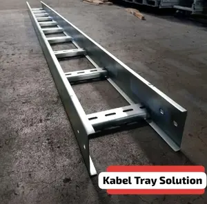 Ladder Type U 200x50x2400mm Electro/Hotdip Galvanis Type U