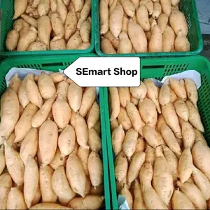 Ubi Madu Cilembu MINI Berat 1Kg Ubi Madu Wonogiri telo madu Gula Kecombrang