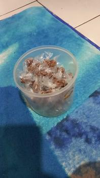 Product Review of (100 pcs) permen jahe jadul 100 pcs permen jahe jadul 100 biji from U**p E**i 0