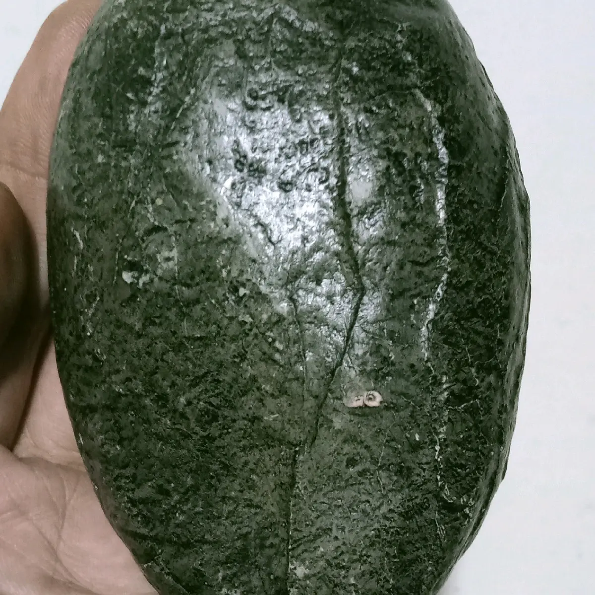 Koleksi Batu Nodul Batu Buah Bulat