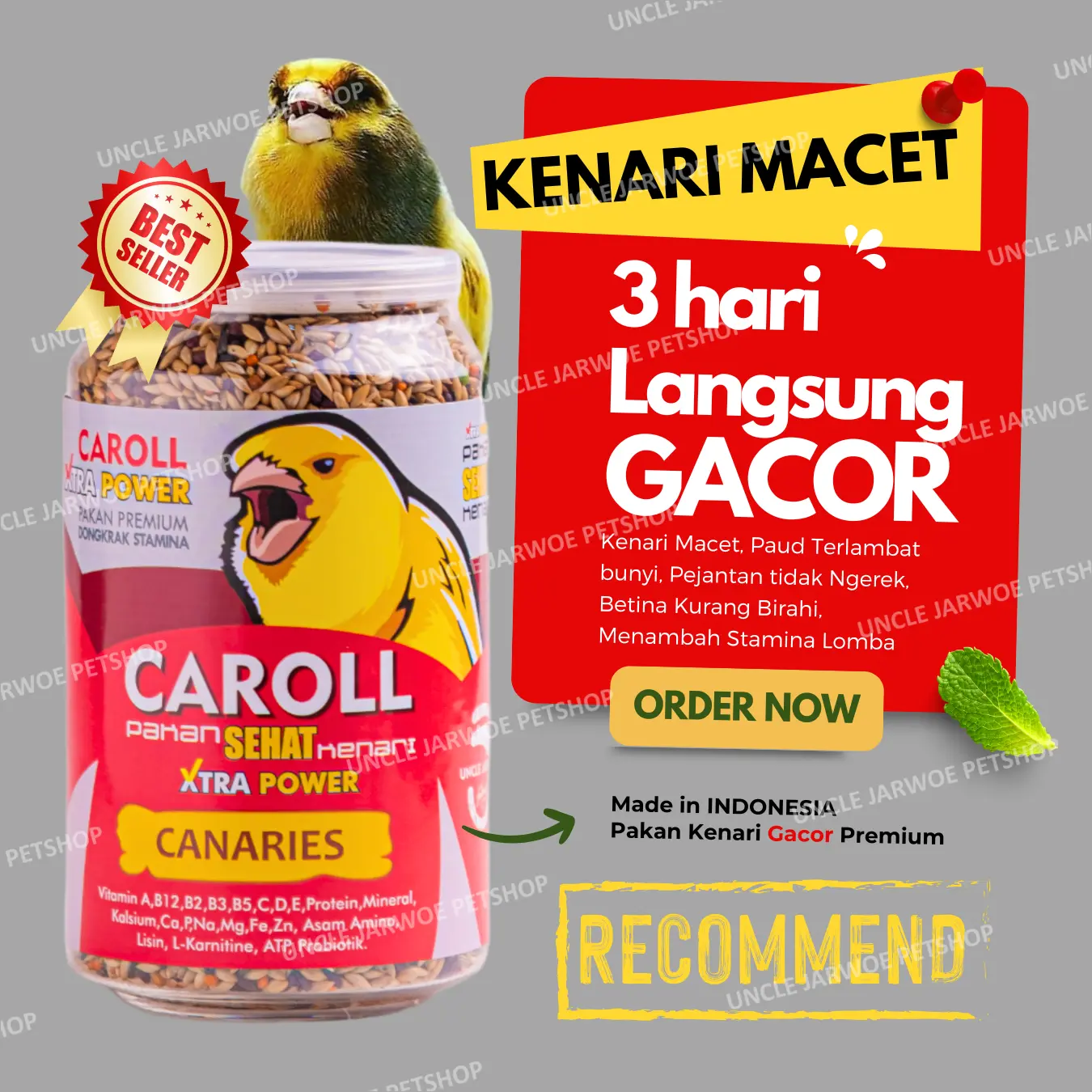 CAROLL Canary Ngeroll - Pakan Burung Kenari Gacor Terbaik dan ampuh