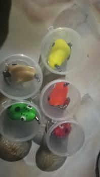 Product Review of Lure Soft Frog Mini umpan pancing Ukuran 3cm Berat 5grm Untuk Mancing Casting Ikan Gabus from M**a 0
