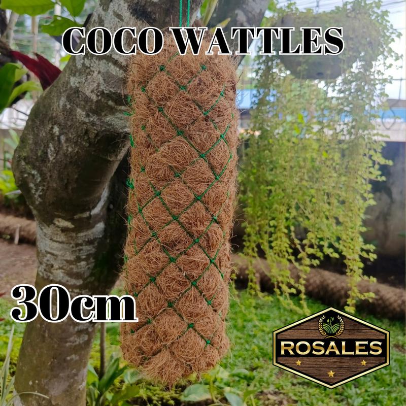 Coco Wattle 30cm Coco Wattles Orchids Pot Holder for Home Garden - Durable - TikTok ...