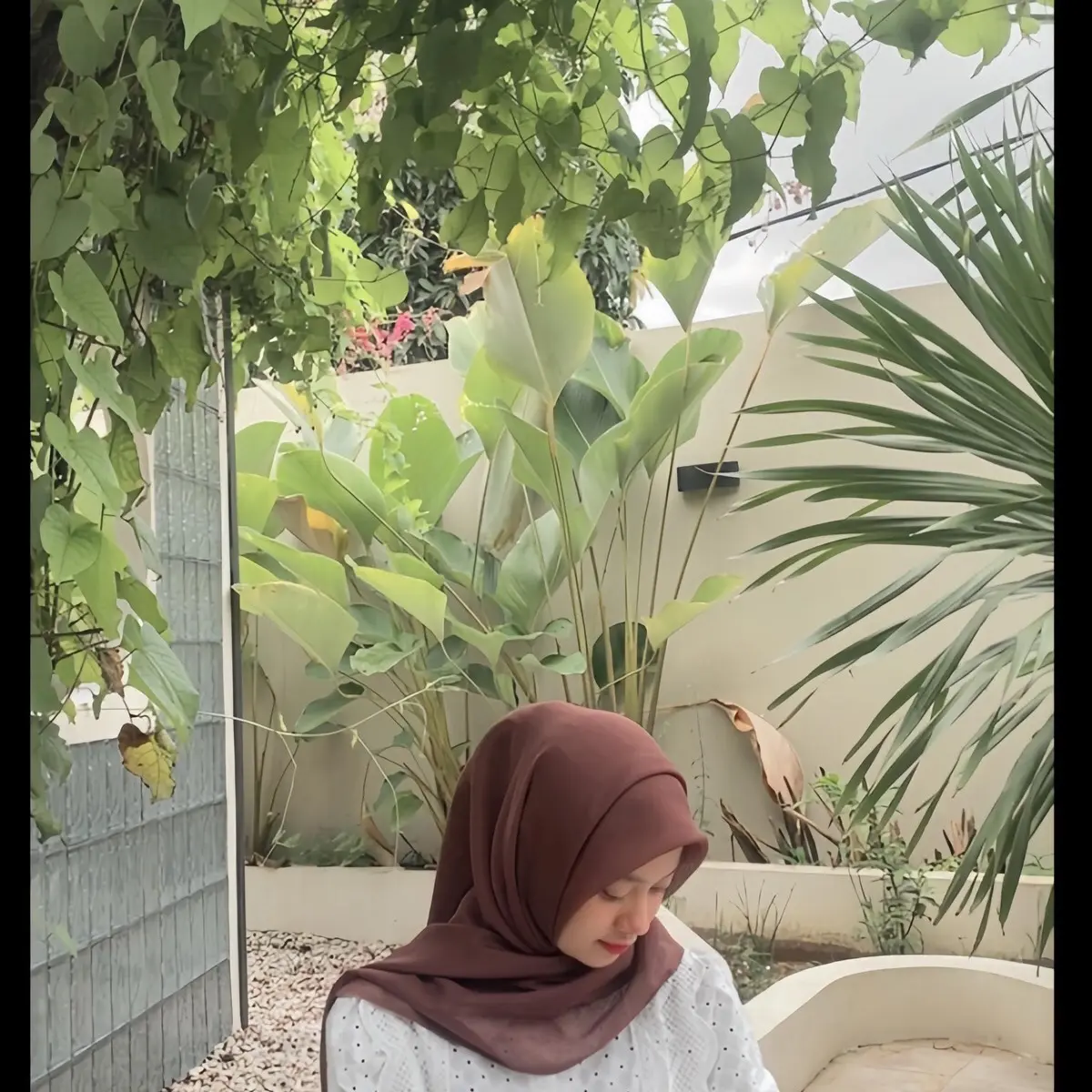 Paris Jadul ! Warna Manggis