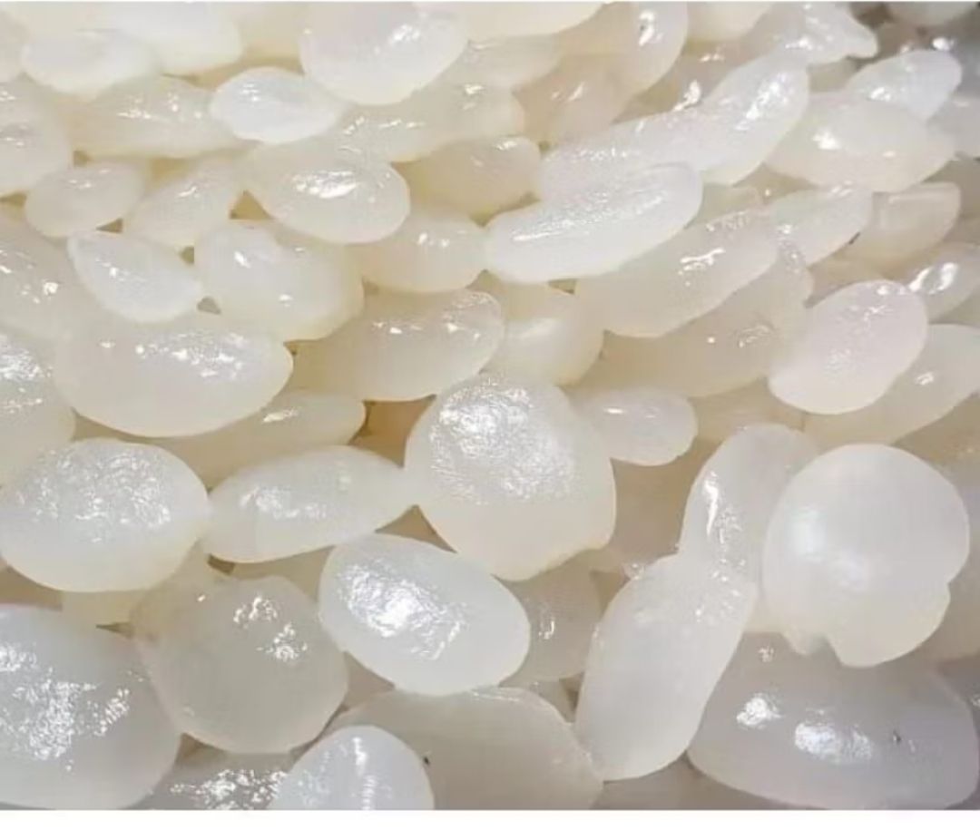 1kg kolang Kaling segar fresh