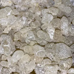 Lubban Konsumsi Yaman Grade A ( tanpa aroma, rasa pahit dan tidak berubah warna air karena tidak lembut ketika di rendam akan tetap keras)