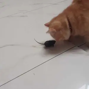 TSA Mainan Tikus Interaktif Mencit Kucing Cat Toys Bentuk Tikus Bisa Bunyi Mainan Hewan Peliharaan Doggy Bersuara Cit