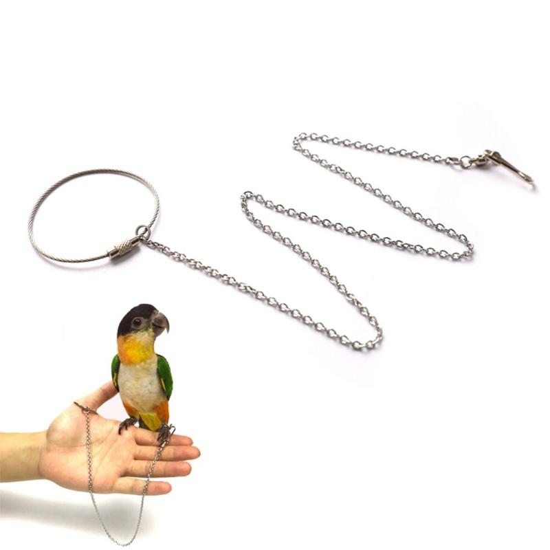 Stainless Steel 1Pcs Outdoor Cockatiel Pigeon with Swivel Buckle ...