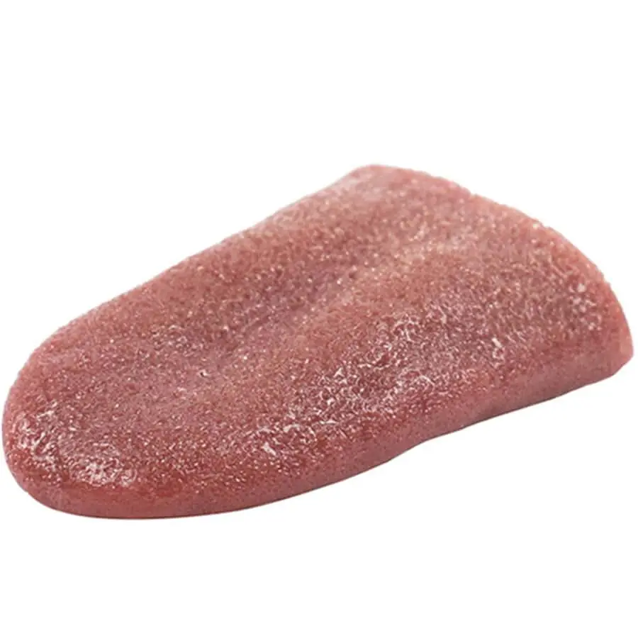 1PC simulation tongue scary and terrifying magic prop steel needle piercing tongue fake tongue Halloween