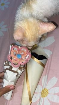 Product Review of ( CAMPUR / MIX ISI 50 - 100 PCS ) KAWAT BULU MERCY WARNA PASTEL MACARON Kerajinan from n**n 🐈**˚ 1
