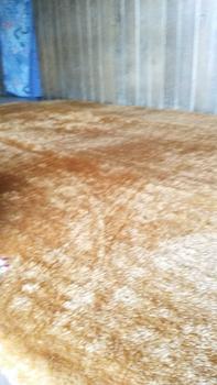 Product Review of karpet bulu busa empuk karpet bulu busa royal from d**i 0