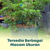 Gambar INFARM - Planter Bag 75 Liter - Pot Tanaman Polybag Tebal untuk Semai Benih Infarm - Planter Bag dari Infarm Kota Surabaya 4 Tokopedia
