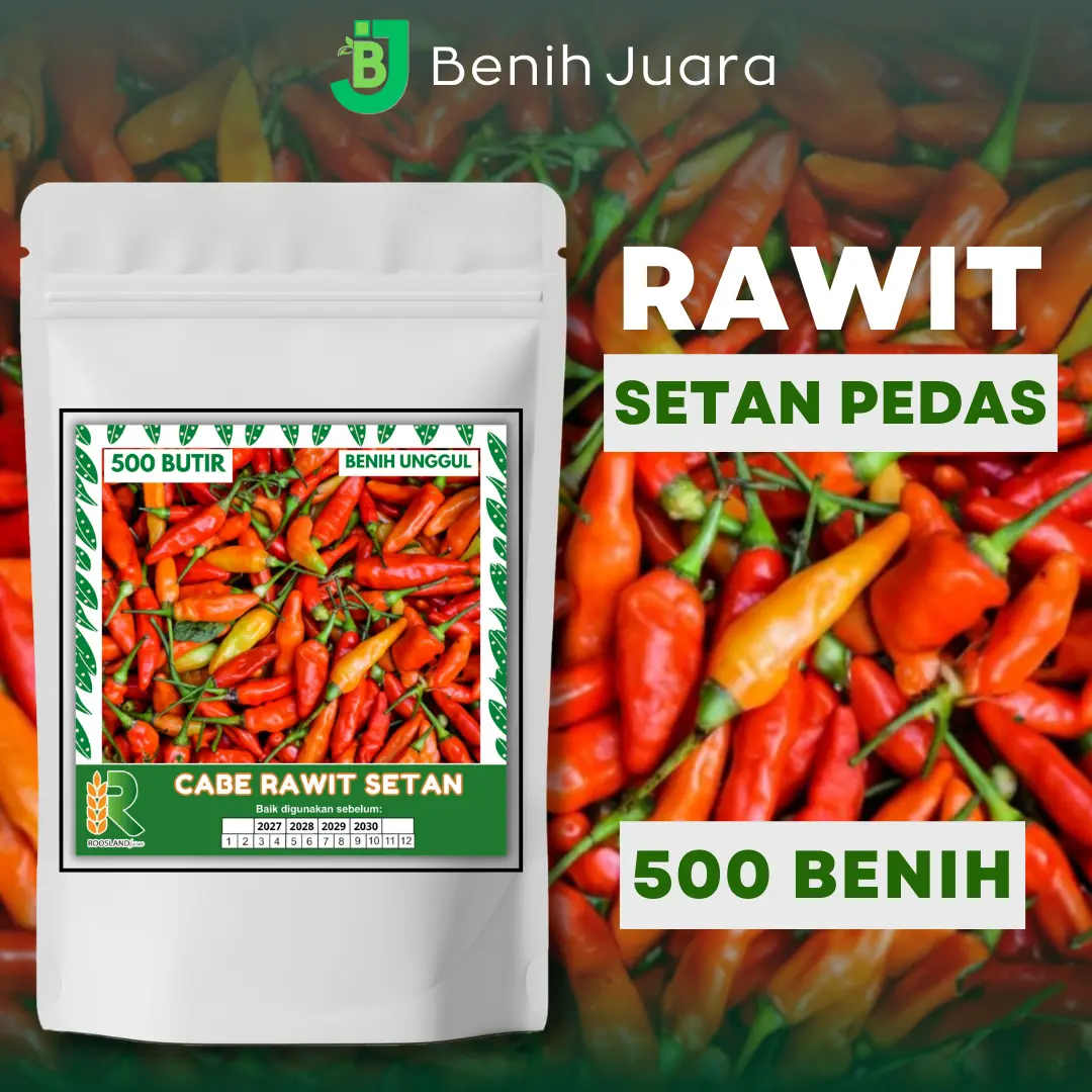(500 Butir) Biji Benih Cabe Rawit Setan Super Pedas Kemasan Premium