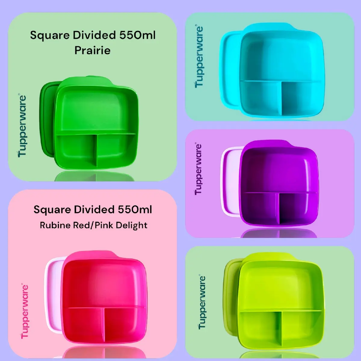 Tupperware Divided Lunch Box, 550ml Capacity, Fixed Partitions for Easy Portioning, Keeps Food Fresh and Organized for School or Office Meals - Tableware office  lunch