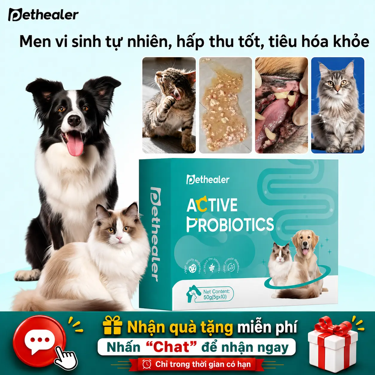 Men vi sinh & men tiêu hoá cho mèo và chó PetHealer – Hỗ trợ tiêu chảy, điều chỉnh đường ruột, tăng cảm giác ngon miệng – 5g/túi, 10 túi/hộp