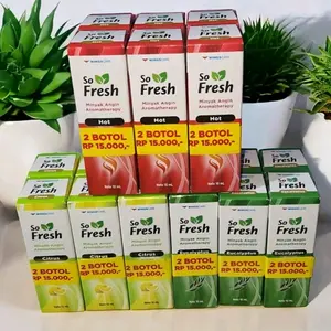 PROMO 1 BOX ISI 6 - SO FRESH MINYAK ANGIN AROMATHERAPY - SO FRESH HOT EYCALIPTUS CITRUS