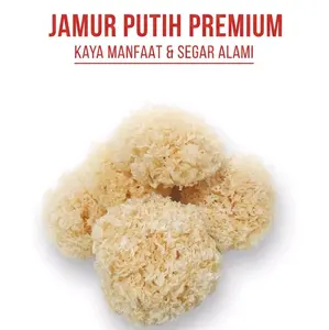 Termurah!!!/Jamur salju/Jamur es kering