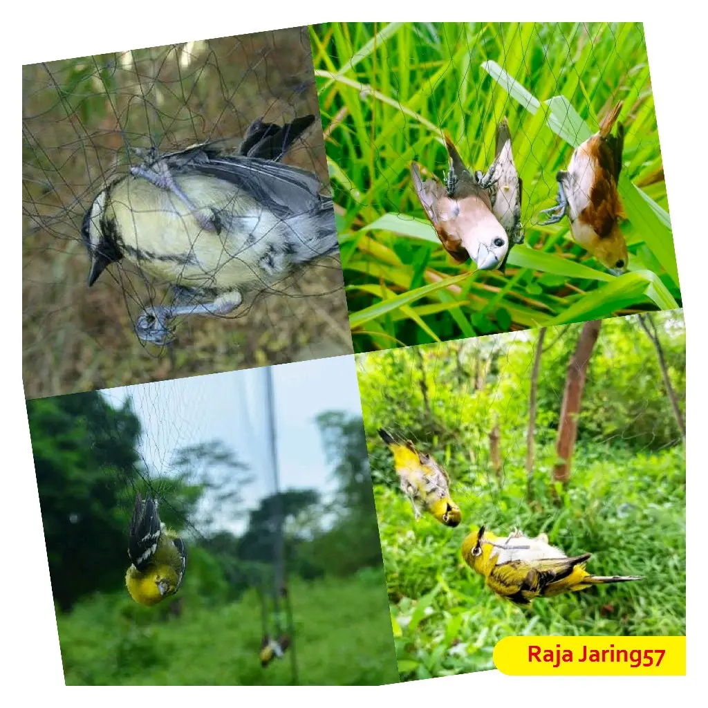 jaring burung kecil/jaring burung/jaring burung siap pasang
